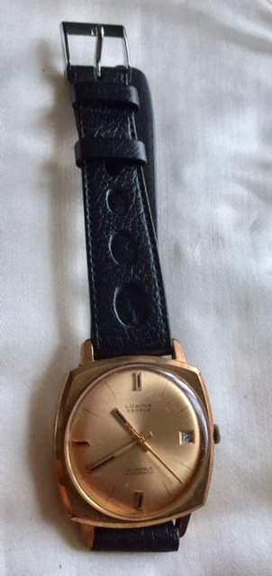Lusina Geneve herreur