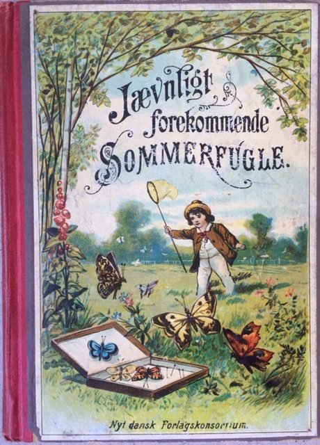 Jvneligt forekommende sommerfugle