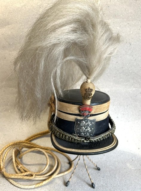 Chr X. Gardehusar Kepi